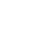 Digital Brain